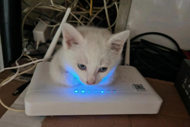 关于用不同运营的光猫ITMS注册不上的解决办法