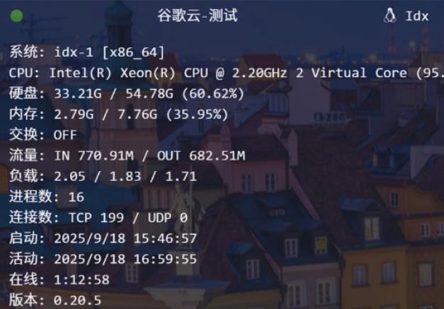 给谷歌idx安装哪吒探针