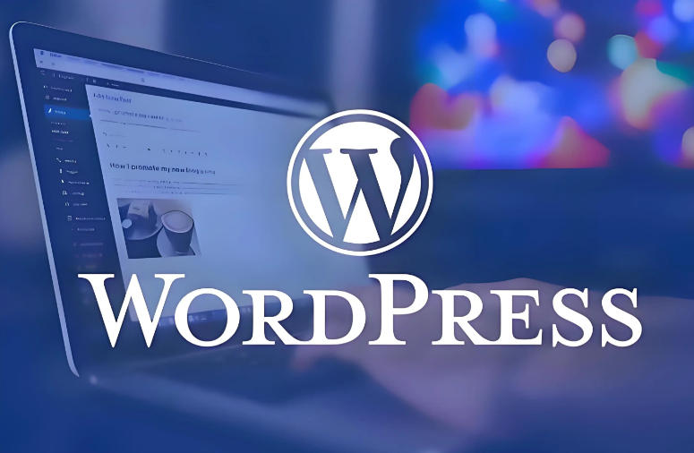 Wordpress网站提示重定向次数过多:无法访问解决方法 Wordpress网站提示重定向次数过多:无法访问解决方法